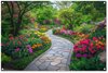 Fleurs - Jardin
