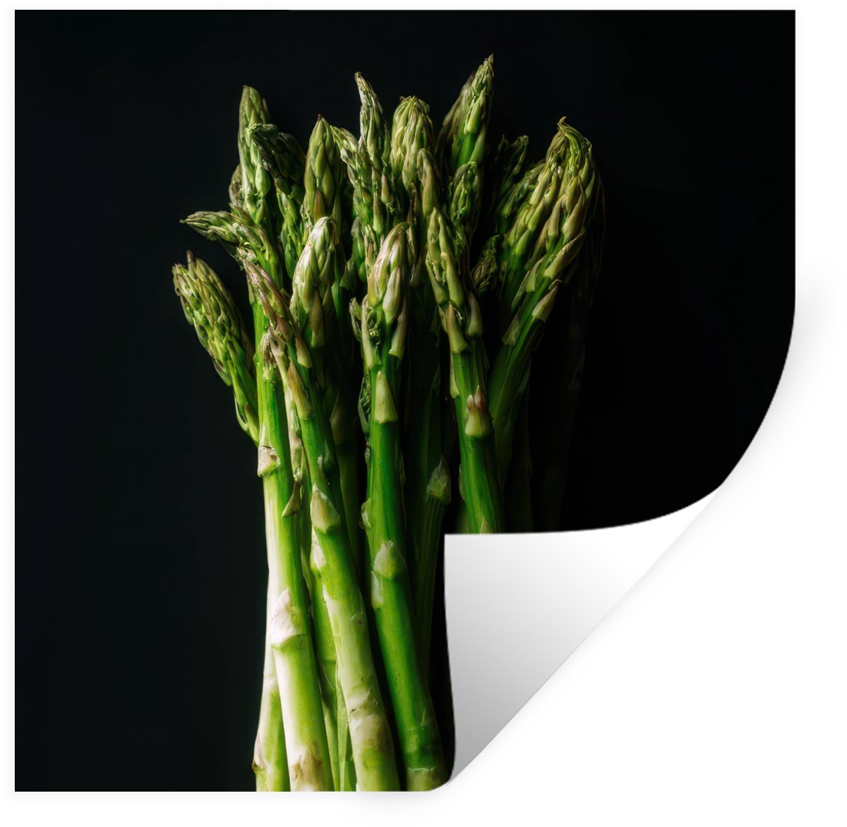 Muurstickers - Sticker Folie - Asperges - Felgroen - 80x80 cm - Plakfolie - Muurstickers K