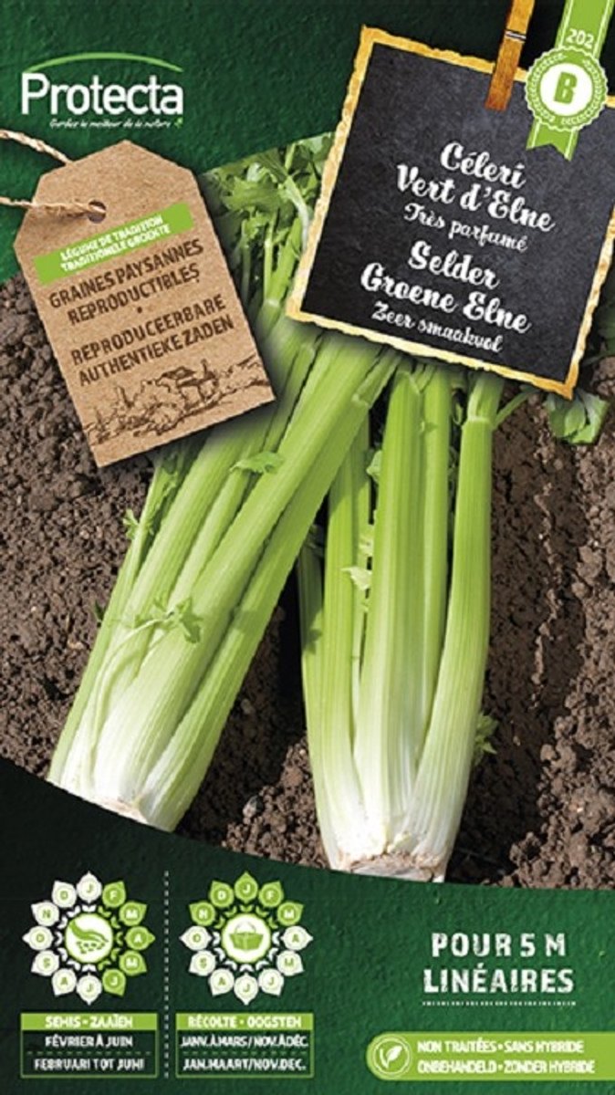Protecta Groente zaden: Selder Groene Elne
