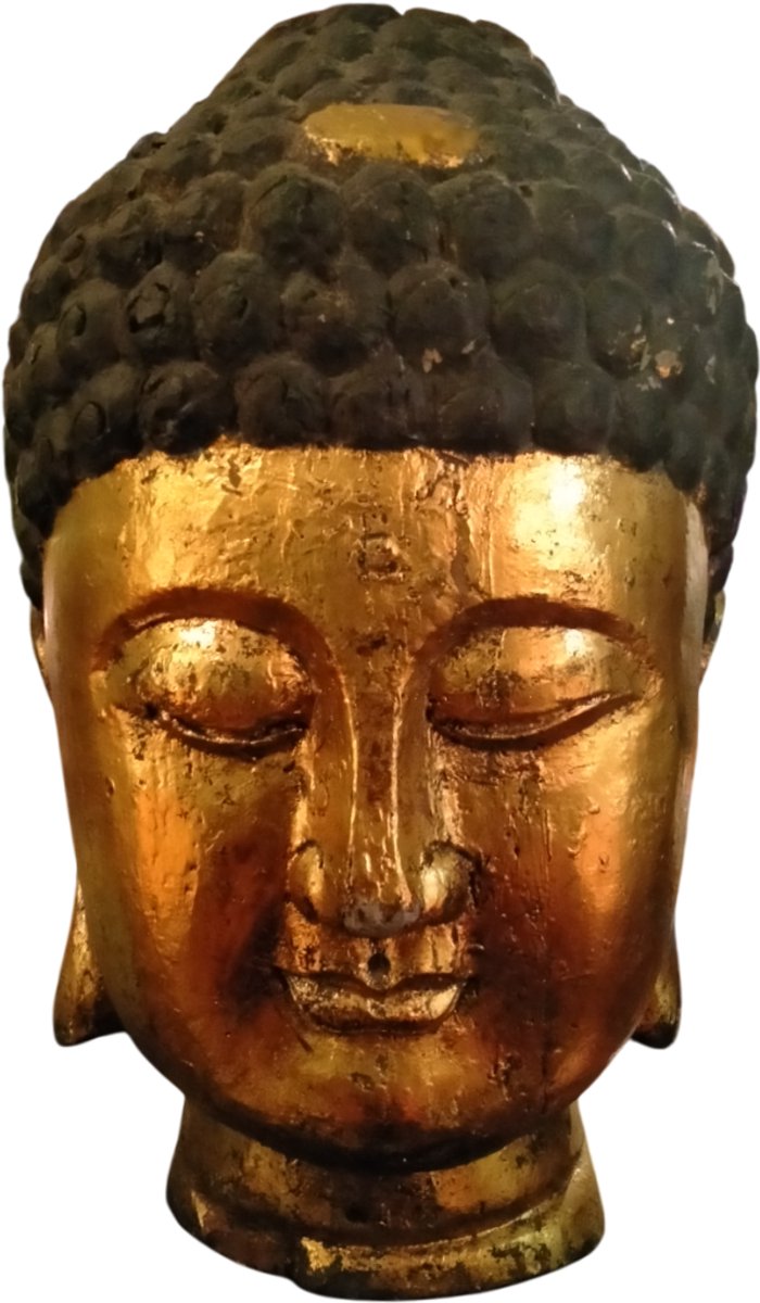 Fine Asianliving Japanse Boeddha Beeld Hoofd Goud Boomstam D40xH65cm