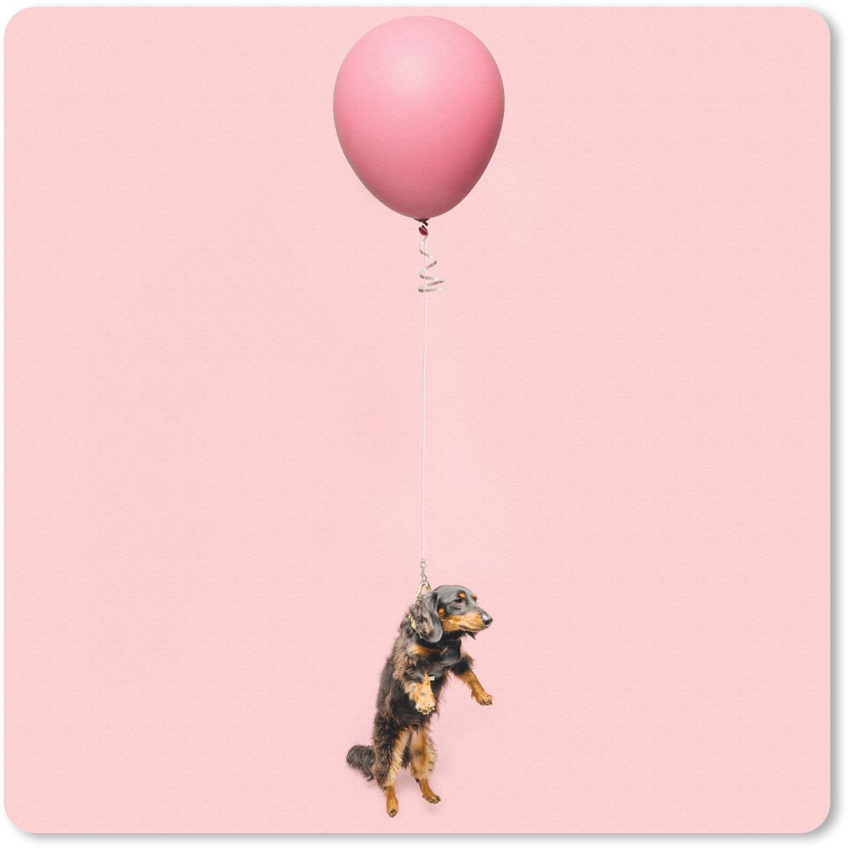 Muismat 30x30 cm - Mousepad Teckel zweeft omhoog door een ballon - Muismatten