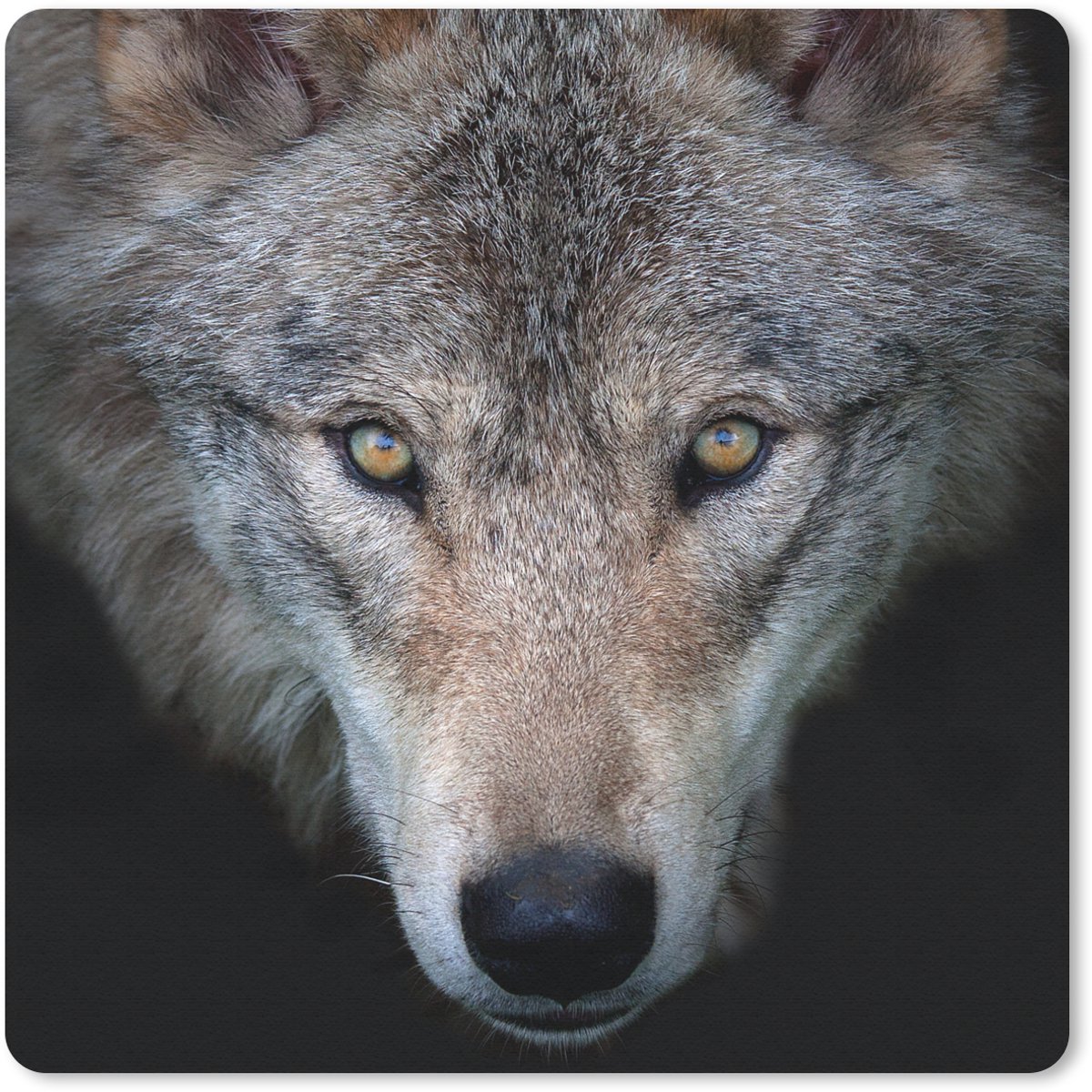 Muismat 30x30 cm - Mousepad Wolf - Portret - Zwart - Muismatten