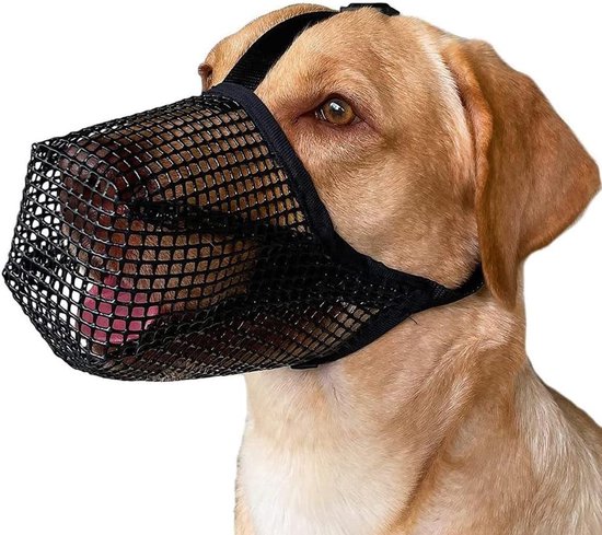 Hondenmuilkorf, metalen hondenmand, hondenmond, ademend, verstelbare lederen riem, geschikt voor grote middelgrote honden (L Hondenmuilkorf, metalen hondenmand, hondenmond, ademend, verstelbare lederen riem, geschikt voor grote middelgrote honden (L