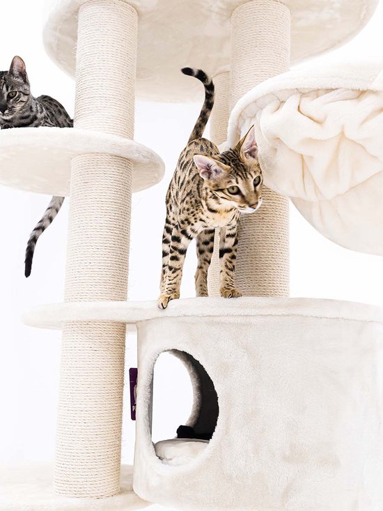 Arbre à chat Petrebels Isabella 170 Design - Crème - Qualité Premium - Arbre à chat XXL pour grands chats