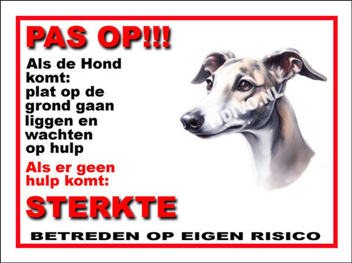 Greyhound 12