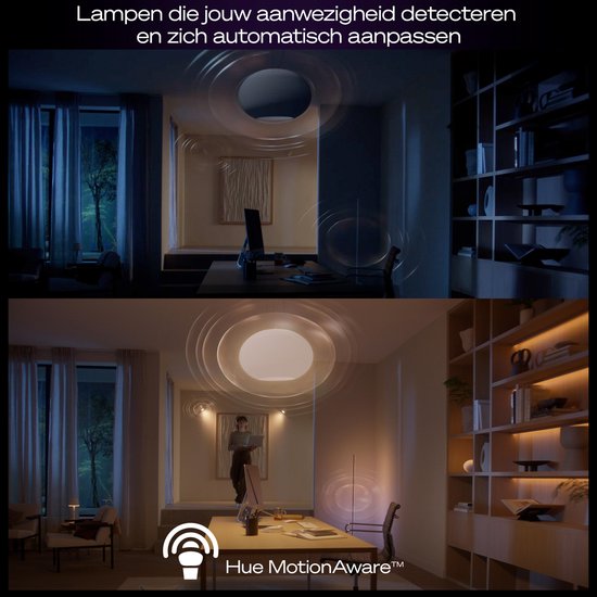 Bridge Philips Hue Pro