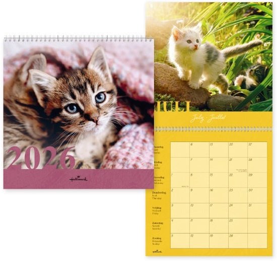 Reuzenstadt kattenkalender 2026, Reuzenstadt
