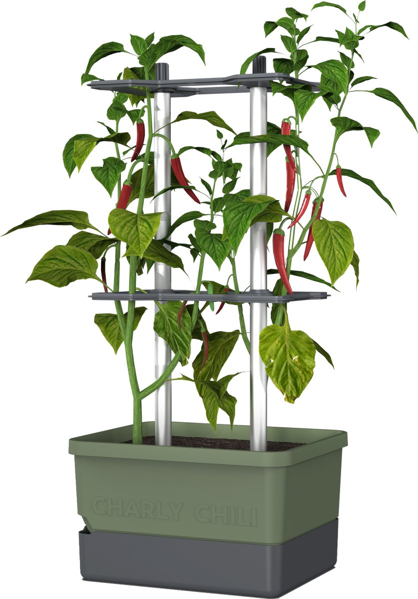 Gusta Garden - Charly Chili - Chiliplanten - Chiliplanter met watertank - Kweekbox - Kweektafel - Donkergroen