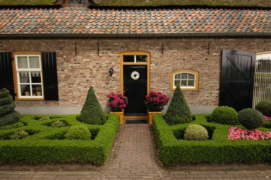 Plants Online - Tuinplanten - Set van 1 - Buxus sempervirens C12 90-100 cm Piramide100