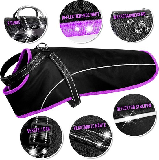 Hundefreund Dog Treat Bag | 4-in-1 with Waist Belt, Belt Clip, Belt Straps and Shoulder Strap | 4 Compartments