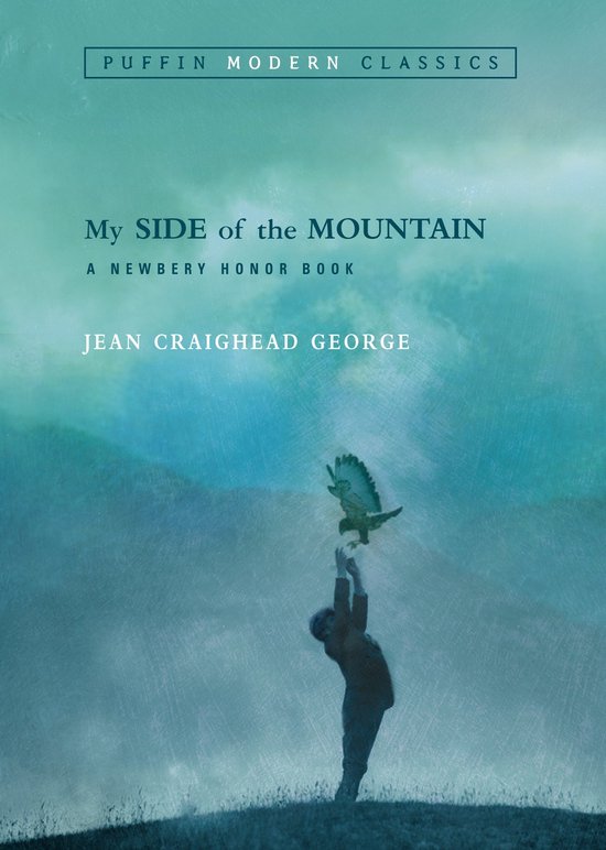 My Side Mountain - cover