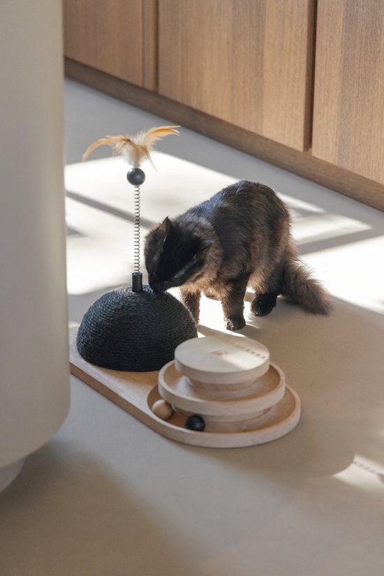 Zwarte kat snuffelt aan een krabpaal met ballenbaan.