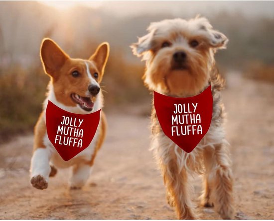 Allecto Plus - Kerst bandana voor honden met 1 stuk - Vrolijke design met extra pluizige uitstraling