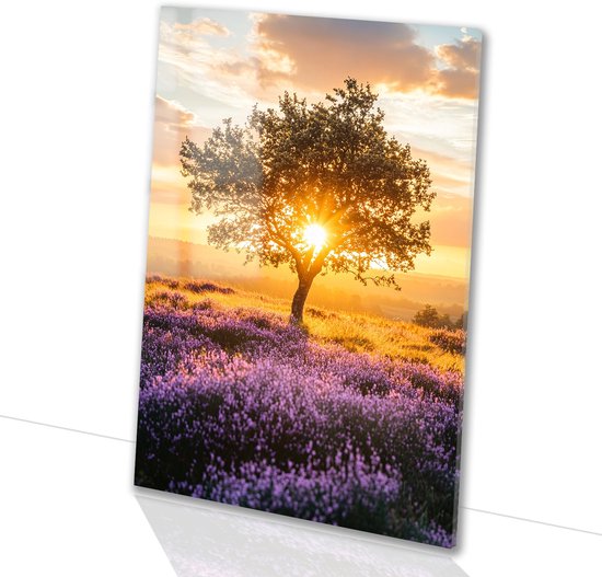 Coucher de soleil sur champ de lavande - Peintures sur verre coucher de soleil - Décoration murale arbre - Impressionnisme - Verre acrylique - Décoration murale campagne - Verre acrylique 50x75 cm