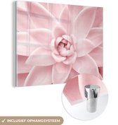 MuchoWow® Glasschilderij 120x90 cm - Schilderij acrylglas - Bloem - Roze - Natuur - Plant - Foto op glas - Schilderijen