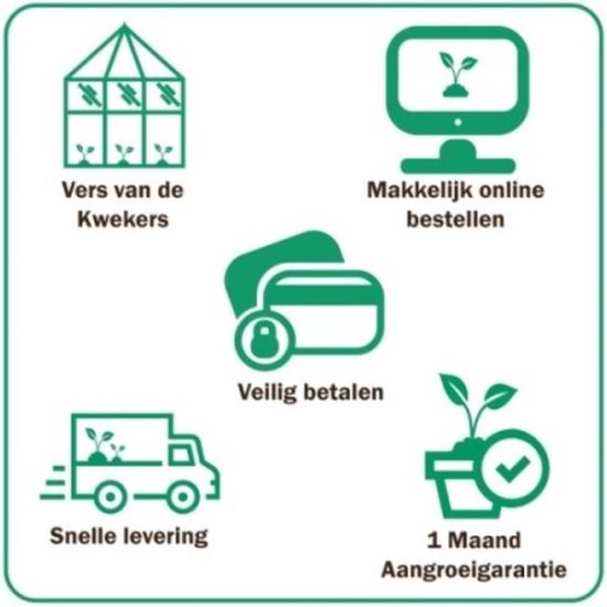 Groen icoon met vier vakken: vers van kwekers, makkelijk online bestellen, veilig betalen, 1 maand aangroei garantie.
