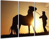 GroepArt - Schilderij -  Paard - Zwart, Geel - 120x80cm 3Luik - 6000+ Schilderijen 0p Canvas Art Collectie