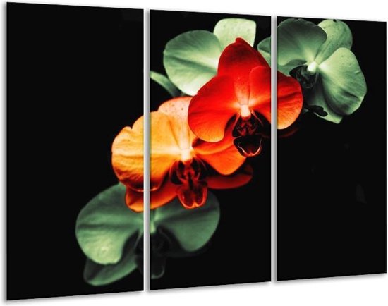 Canvas schilderij Orchidee | Rood, Groen, Zwart | | F003855