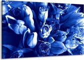 Schilderij Op Canvas - Groot -  Bloemen - Blauw, Wit - 140x90cm 1Luik - GroepArt 6000+ Schilderijen Woonkamer - Schilderijhaakjes Gratis