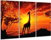 GroepArt - Schilderij -  Dieren - Geel, Oranje, Zwart - 120x80cm 3Luik - 6000+ Schilderijen 0p Canvas Art Collectie