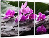 GroepArt - Schilderij -  Orchidee - Zwart, Roze, Grijs - 120x80cm 3Luik - 6000+ Schilderijen 0p Canvas Art Collectie