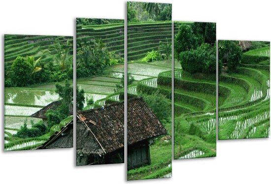 Glasschilderij Natuur - Groen, Wit, - 170x100cm 5Luik - Foto Op Glas - Geen Acrylglas Schilderij - 6000+ Glasschilderijen Collectie - Wanddecoratie