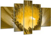 Glasschilderij Macro - Geel, Grijs - 170x100cm 5Luik - Foto Op Glas - Geen Acrylglas Schilderij - 6000+ Glasschilderijen Collectie - Wanddecoratie