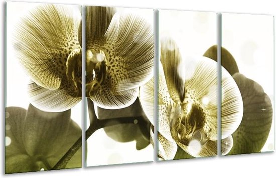 GroepArt - Glasschilderij - Orchidee - Grijs, Wit - 160x80cm 4Luik - Foto Op Glas - Geen Acrylglas Schilderij - 6000+ Glasschilderijen Collectie - Wanddecoratie