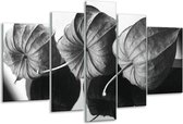 Peinture sur verre Fleur | Gris, noir | 170x100cm 5 Liège | Tirage photo sur verre |  F006619