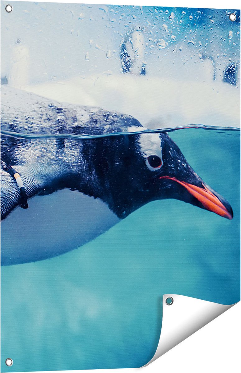 Gards Tuinposter Pingu�n Zwemt in het Water - 60x80 cm - Tuindoek - Tuindecoratie - Wanddecoratie buiten - Tuinschilderij Multikleur