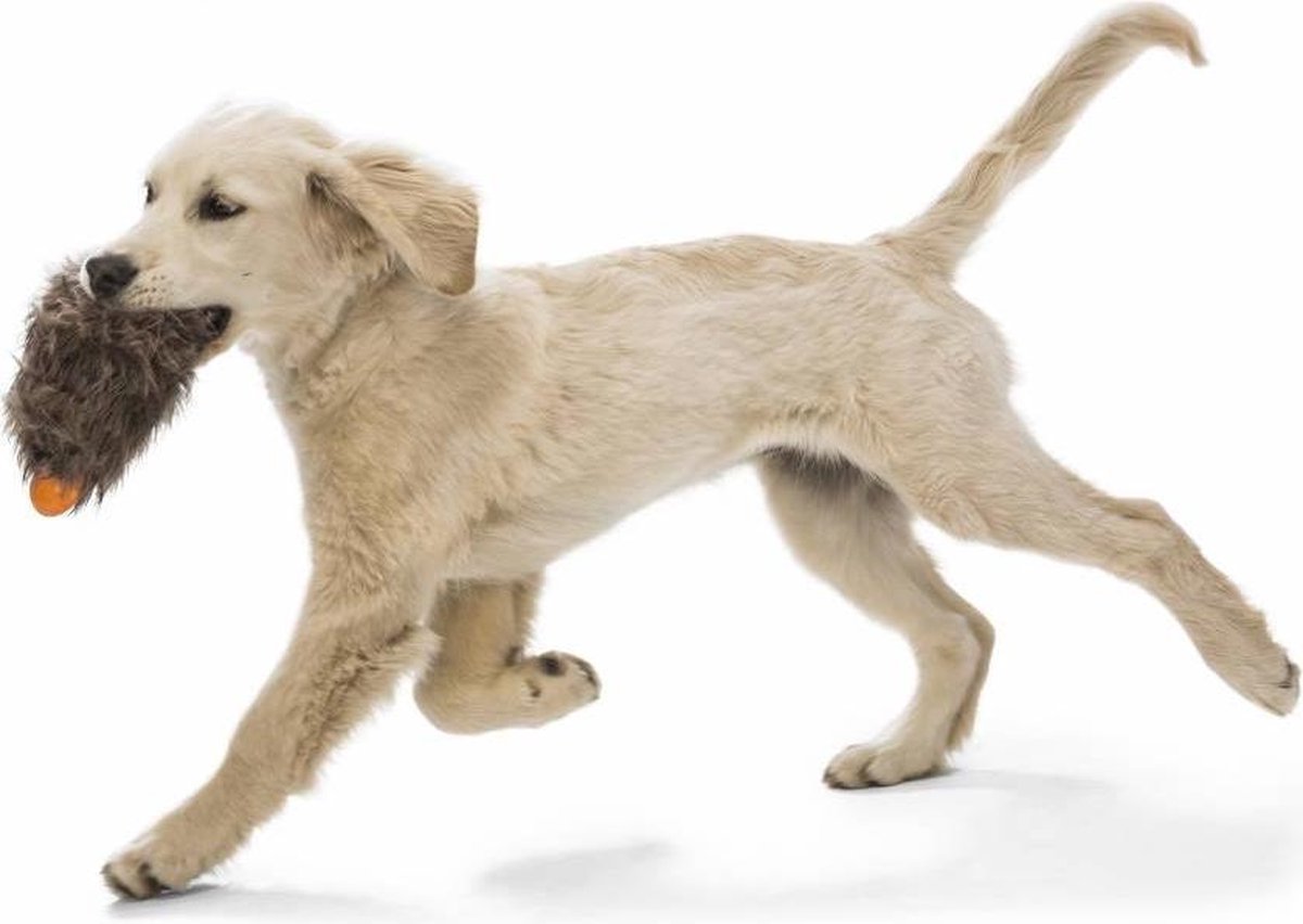 Sterk Puppy Speelgoed Rosebud Sterk Puppy Speelgoed Rosebud