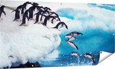 Gards Tuinposter Kudde Pingu�ns Springen vanaf een Rots - 160x80 cm - Tuindoek - Tuindecoratie - Wanddecoratie buiten - Tuinschilderij