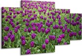 GroepArt - Schilderij -  Tulpen - Paars, Groen - 160x90cm 4Luik - Schilderij Op Canvas - Foto Op Canvas