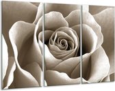 120 cm x 80 cm