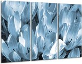 GroepArt - Schilderij -  Bloemen, Krokus - Blauw, Grijs - 120x80cm 3Luik - 6000+ Schilderijen 0p Canvas Art Collectie
