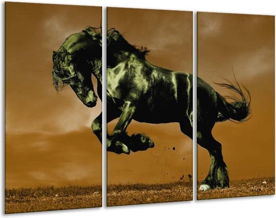 Glasschilderij Paard - Bruin, Groen, Zwart - 120x80cm 3Luik - Foto Op Glas - Geen Acrylglas Schilderij - GroepArt 6000+ Glas Art Collectie - Maatwerk Mogelijk