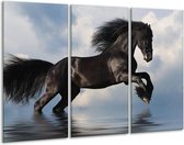 Glasschilderij Paard - Zwart, Blauw, Wit - 120x80cm 3Luik - Foto Op Glas - Geen Acrylglas Schilderij - GroepArt 6000+ Glas Art Collectie - Maatwerk Mogelijk