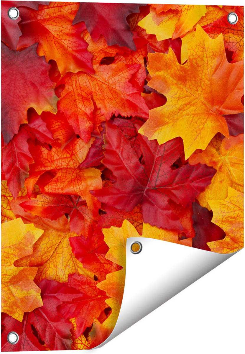 Gards Tuinposter Herfstbladeren in het Oranje en Rood - 40x50 cm - Tuindoek - Tuindecoratie - Wanddecoratie buiten - Tuinschilderij Multikleur