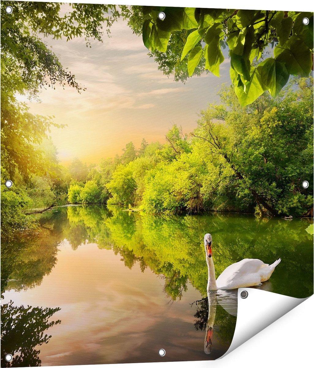 Gards Tuinposter Zwaan op het Water in het Bos - 80x80 cm - Tuindoek - Tuindecoratie - Wanddecoratie buiten - Tuinschilderij Multikleur