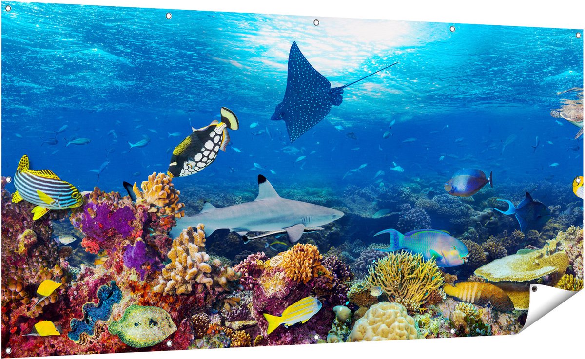 Gards Tuinposter Vissen met Koraalrif in de Oceaan - 200x100 cm - Tuindoek - Tuindecoratie - Wanddecoratie buiten - Tuinschilderij Multikleur