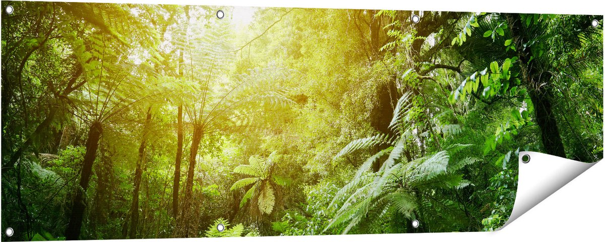 Gards Tuinposter Tropische Jungle met Zonneschijn - 150x50 cm - Tuindoek - Tuindecoratie - Wanddecoratie buiten - Tuinschilderij Multikleur