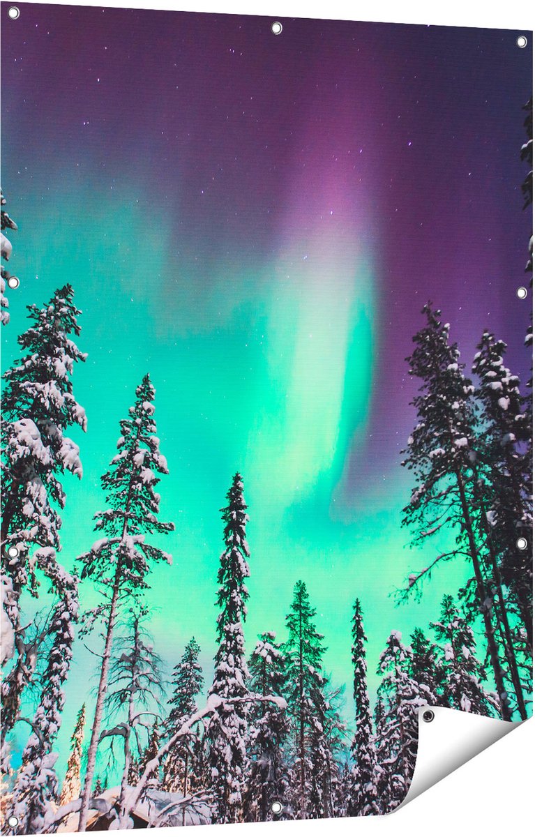 Gards Tuinposter Noorderlicht in de Bossen van Noorwegen - 90x120 cm - Tuindoek - Tuindecoratie - Wanddecoratie buiten - Tuinschilderij Multikleur