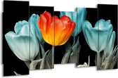 Peinture sur toile Tulipe | Orange, bleu, noir | 150x80cm 5Liège