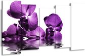 GroepArt - Canvas Schilderij - Orchidee - Paars, Wit - 150x80cm 5Luik- Groot Collectie Schilderijen Op Canvas En Wanddecoraties