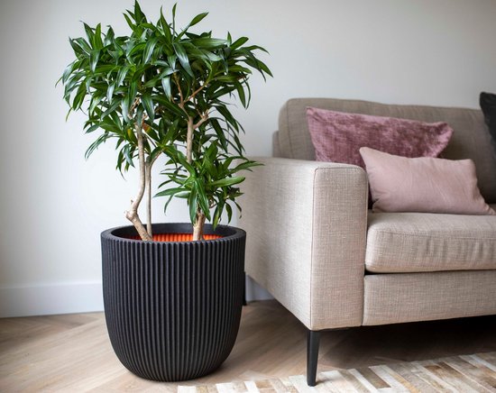 Capi Europe - Bloempot bol Groove NL - 35x34 - Goud - Opening Ø29 - Bloempot voor binnen en buiten - Levenslang garantie - Breukbestendig - 100% Recyclebaar - CO2 Neutraal geproduceerd - KGVGB932