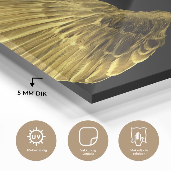 Peinture sur Verre - Ailes Dorées sur Fond Noir - 60x80 cm - Peintures sur Verre Peintures - Photo sur Glas