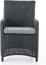 Premium Tuinstoelen - outdoor loungestoel - loungestoel - Lounge - ijzergrijs 5mm - 47 x 47 x 44 cm