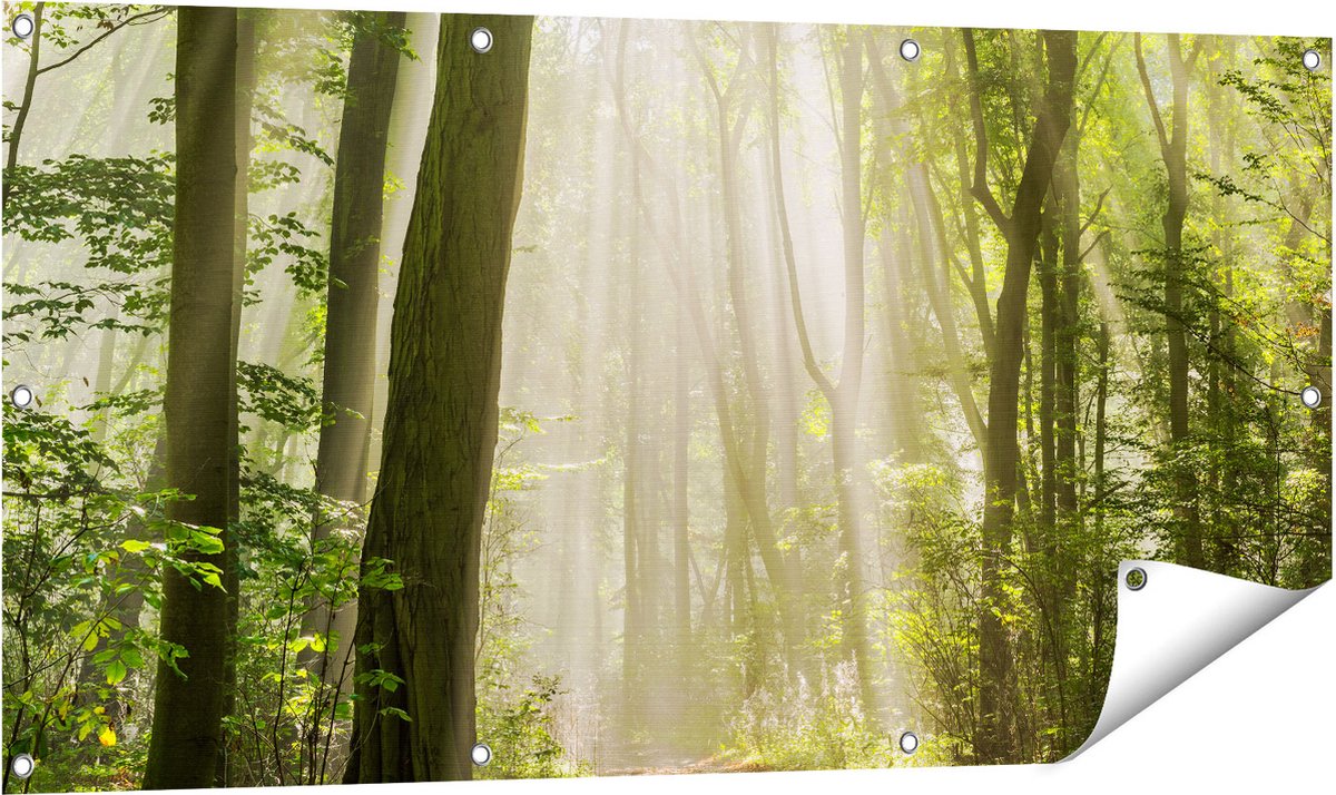 Gards Tuinposter Bos met Bomen en Zonneschijn - 120x60 cm - Tuindoek - Tuindecoratie - Wanddecoratie buiten - Tuinschilderij Multikleur