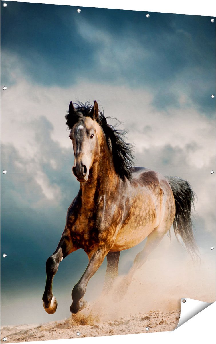 Gards Tuinposter Wilde Paard in het Zand - 120x160 cm - Tuindoek - Tuindecoratie - Wanddecoratie buiten - Tuinschilderij Multikleur