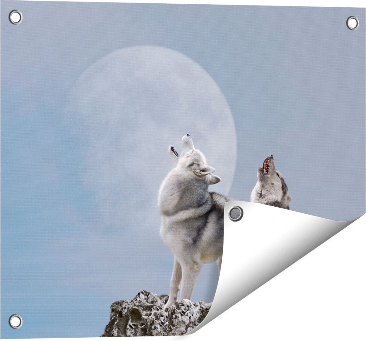 Gards Tuinposter Twee Wolven Die Huilen tijdens Volle Maan - 50x40 cm - Tuindoek - Tuindecoratie - Wanddecoratie buiten - Tuinschilderij Multikleur